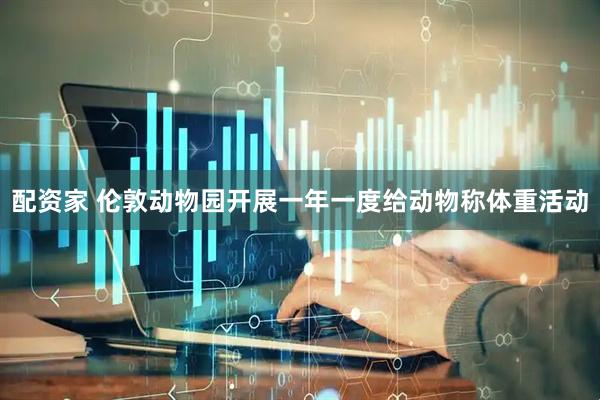 配资家 伦敦动物园开展一年一度给动物称体重活动